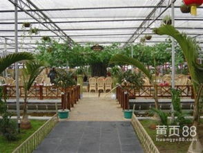 生态餐厅建设全攻略 从设计到施工的专业指南